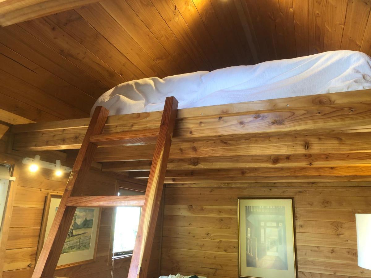 Studio Or Cabin On Whitby Нельсон Экстерьер фото